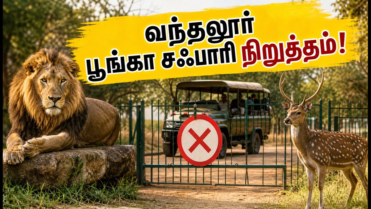 வந்தலூர் பூங்கா சஃபாரி நிறுத்தம்.. இந்த வீக்கெண்ட் சென்னைவாசிகளுக்கு மாற்று இடங்கள் இதோ! | Vandalur Zoo Safari Suspended: Best Weekend Trip Alternatives In Chennai 2026